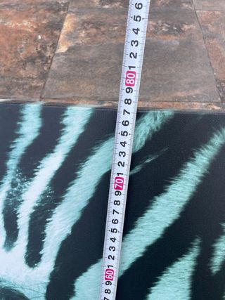 Cuadro Decorativo de Zebra