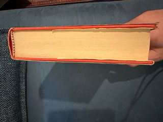 L'uomo di Pietroburgo