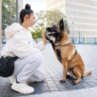 Adiestrador canino Barcelona