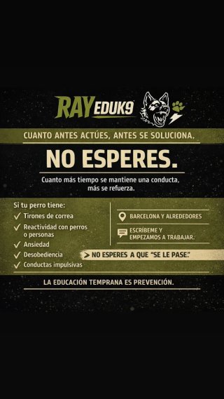 Adiestrador canino Barcelona
