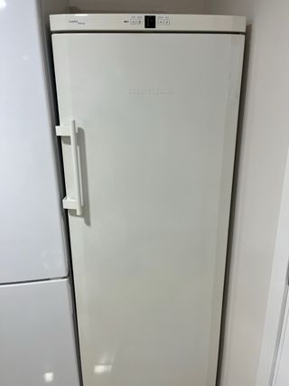 Congelador Liebherr No Frost Blanco