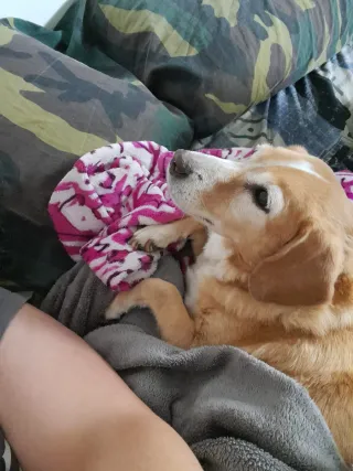 Retrato dibujado de un ser muy querido.