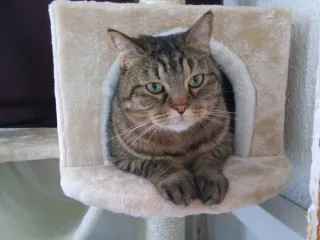 Retrato dibujado de un ser muy querido.