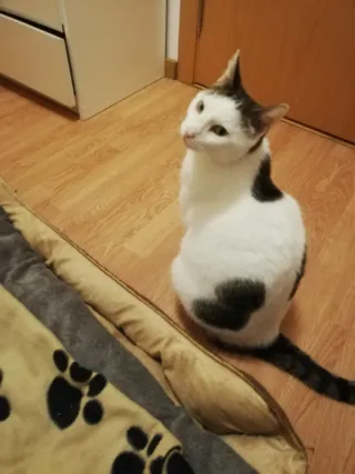 Retrato dibujado de un ser muy querido.