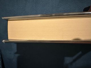 Il volo del calabrone.