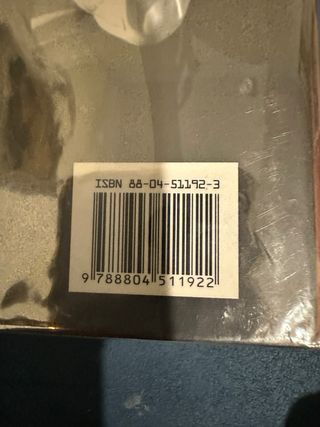 Il volo del calabrone.