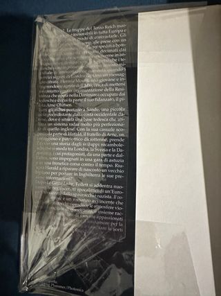 Il volo del calabrone.