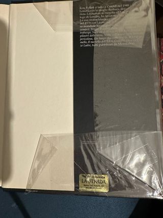 Il volo del calabrone.