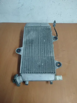 Radiador Yamaha XT 660 (2008)