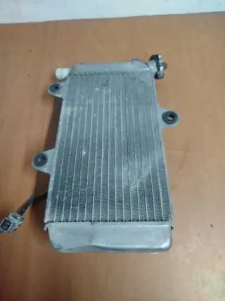 Radiador Yamaha XT 660 (2008)