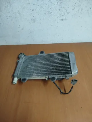 Radiador Yamaha XT 660 (2008)