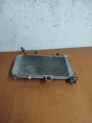 Radiador Yamaha XT 660 (2008)