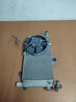 Radiador Yamaha XT 660 (2008)