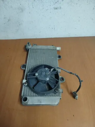 Radiador Yamaha XT 660 (2008)