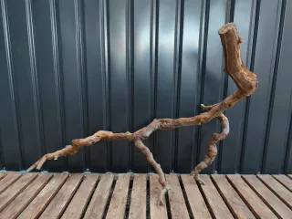 Raíz/tronco XL Decoración acuario OFERTA SOLO HOY!