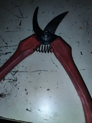 Tijeras de podar rojas