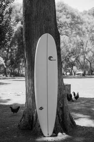 Tabla de surf Rollback Surfshop