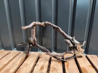 Raíz/tronco Decoración acuario OFERTA SOLO HOY!