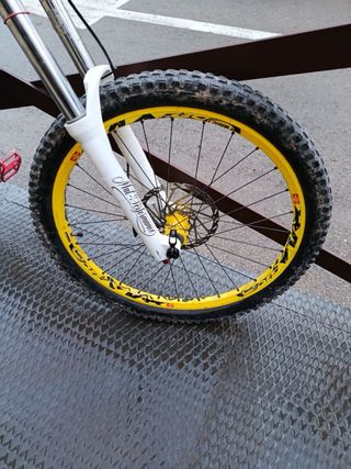 Bicicleta da Discesa, si accettano cambi