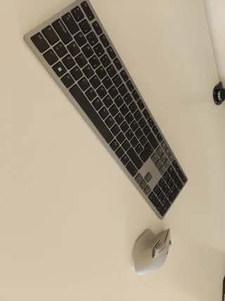 Puesto de trabajo informático profesional