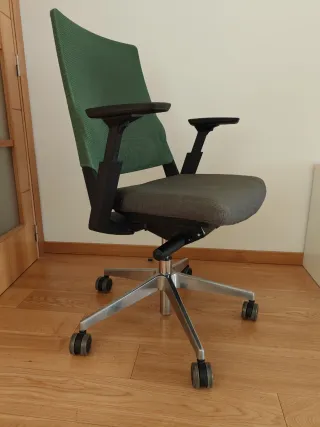 Puesto de trabajo informático profesional