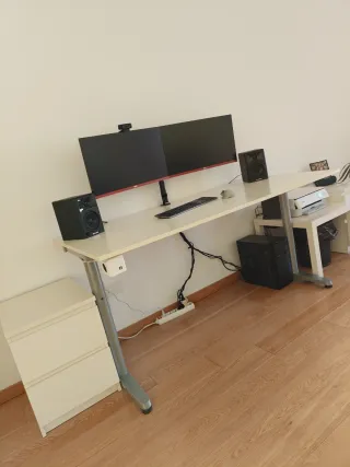 Puesto de trabajo informático profesional