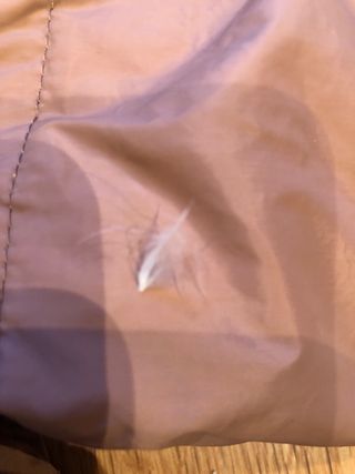 Chaqueta Zara invierno 2-3 años