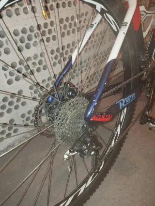 Bicicleta carbono suspensión Fox 34