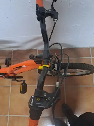 Bicicleta infantil naranja Racer 20