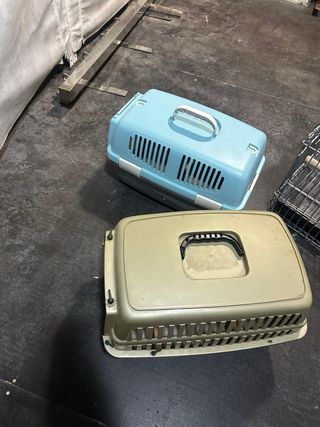 Jaula para loro con palo de apoyo