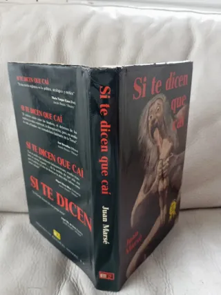 Si te dicen que caí