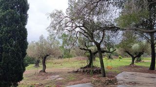 Terreno en venta en Roquetes