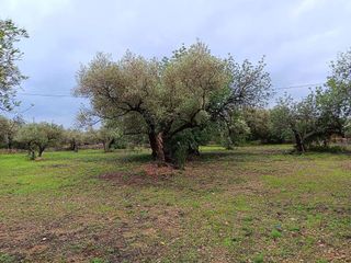 Terreno en venta en Roquetes