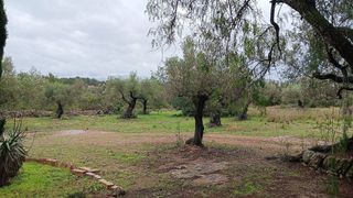 Terreno en venta en Roquetes