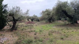 Terreno en venta en Roquetes