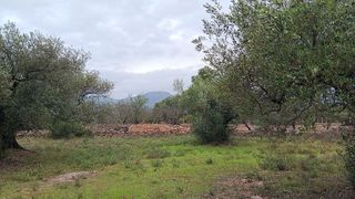 Terreno en venta en Roquetes