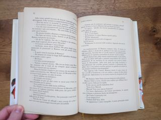 Il romanzo di Ramses. La dimora millenaria, C. Jac