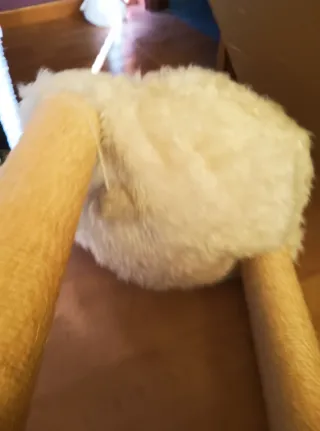 Rascador para gatos con cama