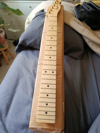 Mastaio Fender Telecaster Custom Acero