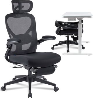 Silla de oficina Flexispot Foldex - Nueva
