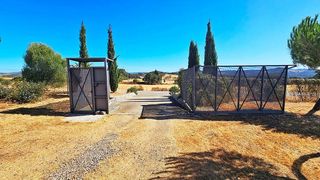 Casa rural en venta en Madroño (El)