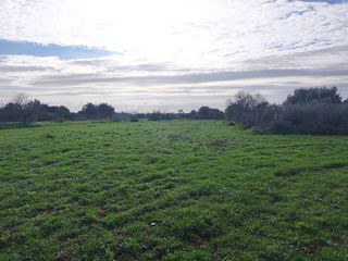 Terreno en venta en Porreres