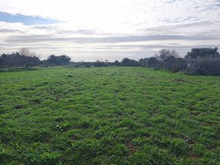 Terreno en venta en Porreres