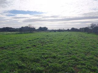 Terreno en venta en Porreres