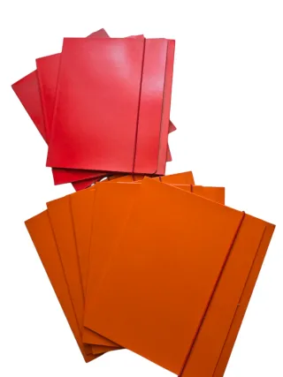 Cartelline di vari colori