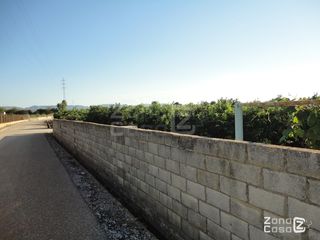 FINCA RUSTICA O CAMPO EN RAFELGUARAF