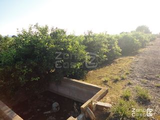 FINCA RUSTICA O CAMPO EN RAFELGUARAF