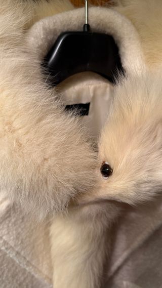 Cuello auténtico pelo blanco