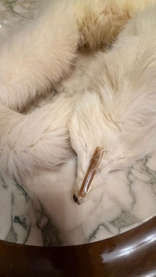 Cuello auténtico pelo blanco