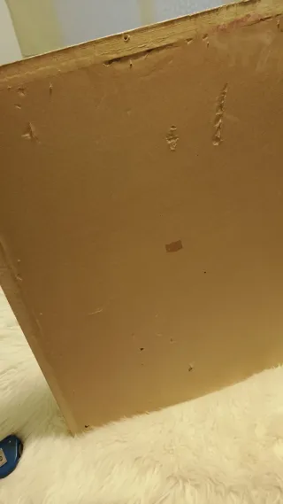 Cuadro La Gitana 70x56